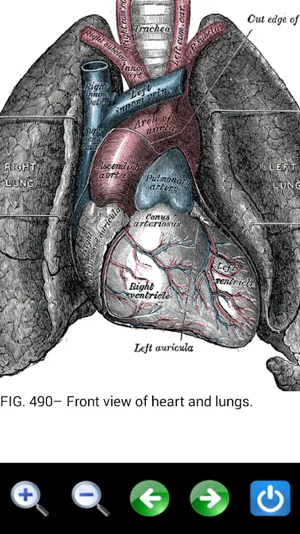 Visual Anatomy 2-screenshot-1